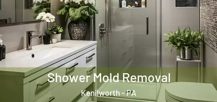  Shower Mold Removal Kenilworth - PA
