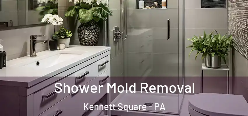  Shower Mold Removal Kennett Square - PA