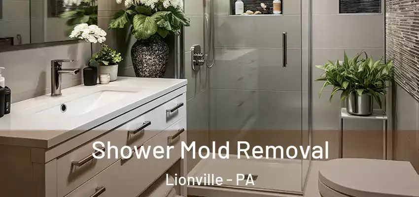  Shower Mold Removal Lionville - PA