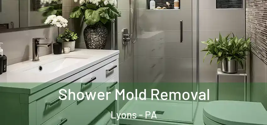 Shower Mold Removal Lyons - PA
