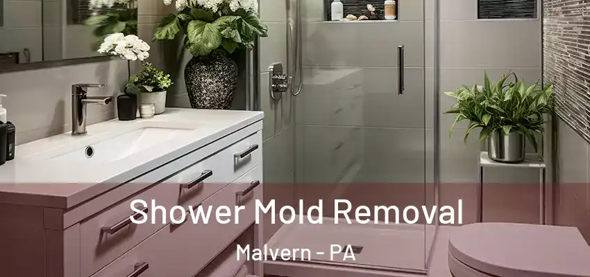  Shower Mold Removal Malvern - PA