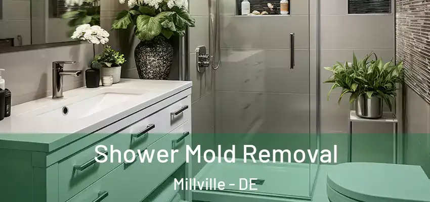  Shower Mold Removal Millville - DE