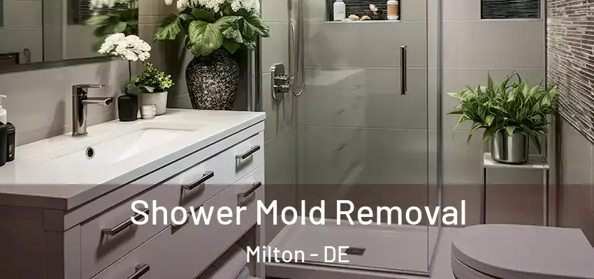 Shower Mold Removal Milton - DE