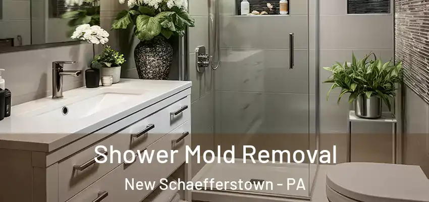  Shower Mold Removal New Schaefferstown - PA