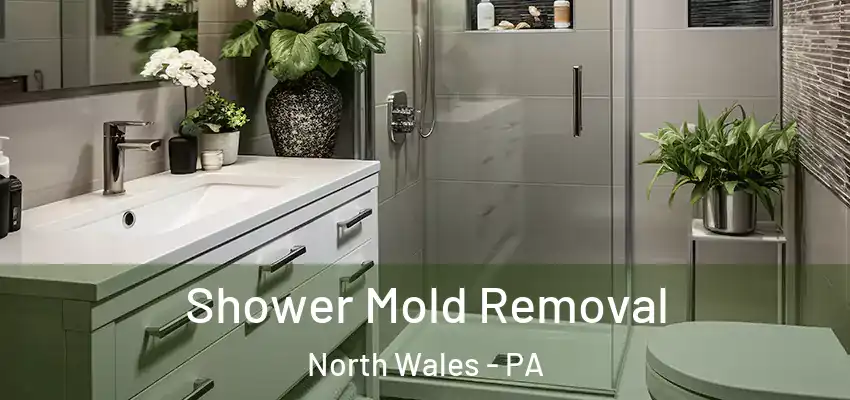 Shower Mold Removal North Wales - PA
