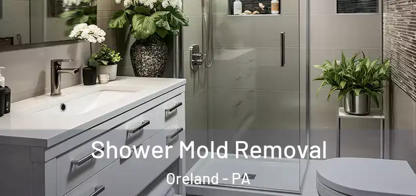 Shower Mold Removal Oreland - PA