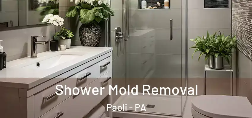 Shower Mold Removal Paoli - PA