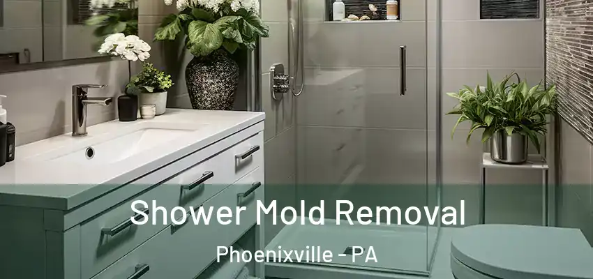 Shower Mold Removal Phoenixville - PA