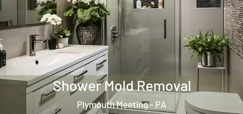  Shower Mold Removal Plymouth Meeting - PA