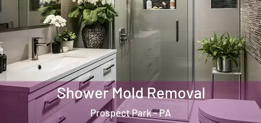  Shower Mold Removal Prospect Park - PA