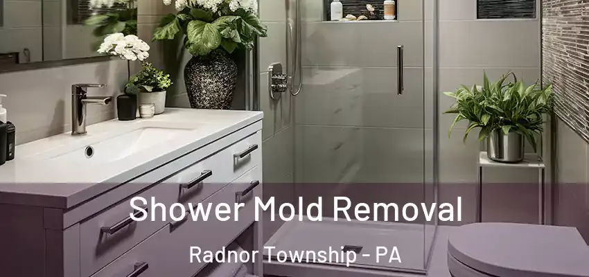  Shower Mold Removal Radnor Township - PA