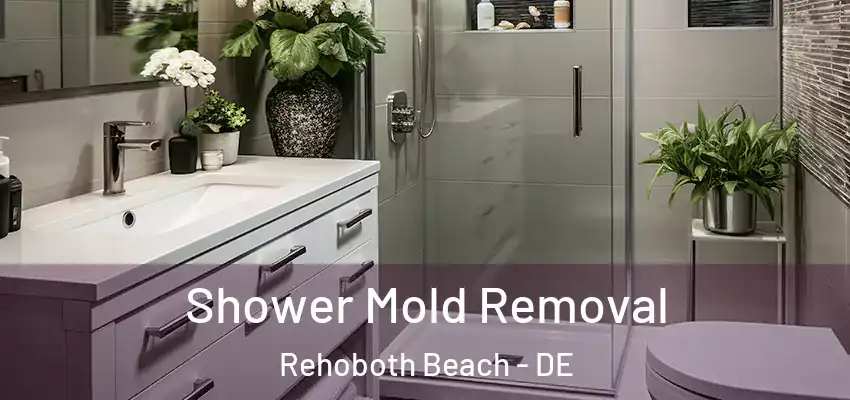 Shower Mold Removal Rehoboth Beach - DE