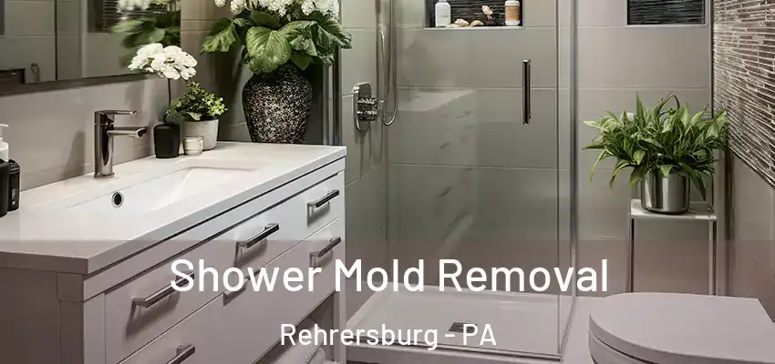  Shower Mold Removal Rehrersburg - PA