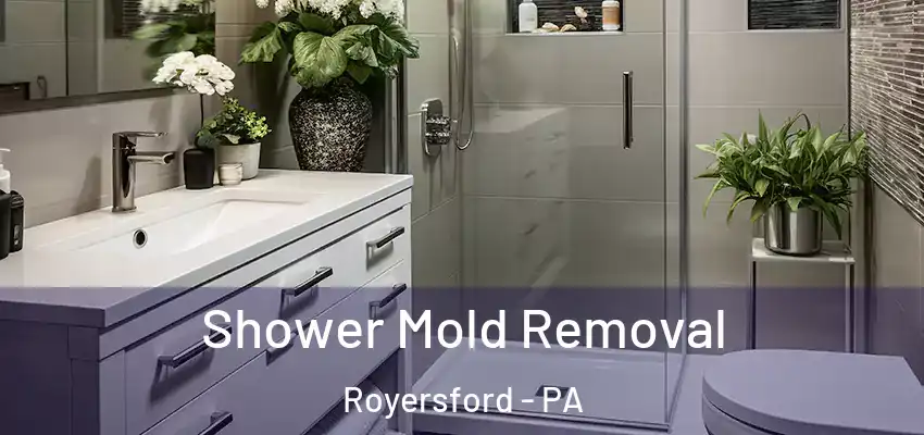  Shower Mold Removal Royersford - PA