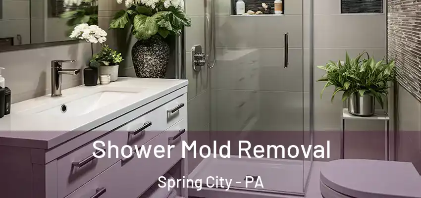  Shower Mold Removal Spring City - PA