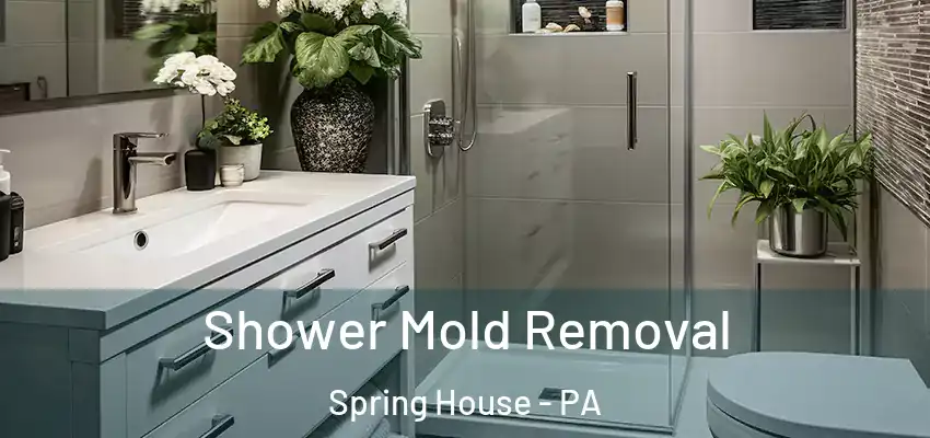  Shower Mold Removal Spring House - PA
