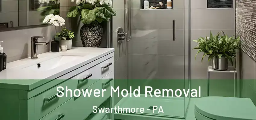 Shower Mold Removal Swarthmore - PA