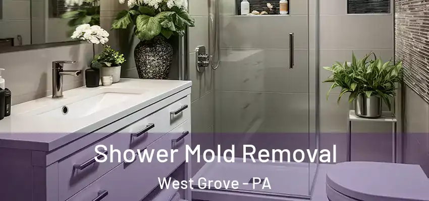  Shower Mold Removal West Grove - PA