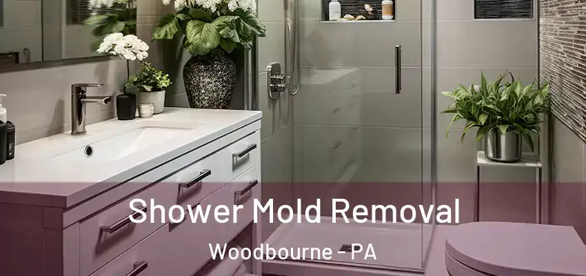 Shower Mold Removal Woodbourne - PA