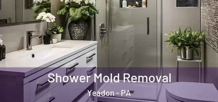  Shower Mold Removal Yeadon - PA
